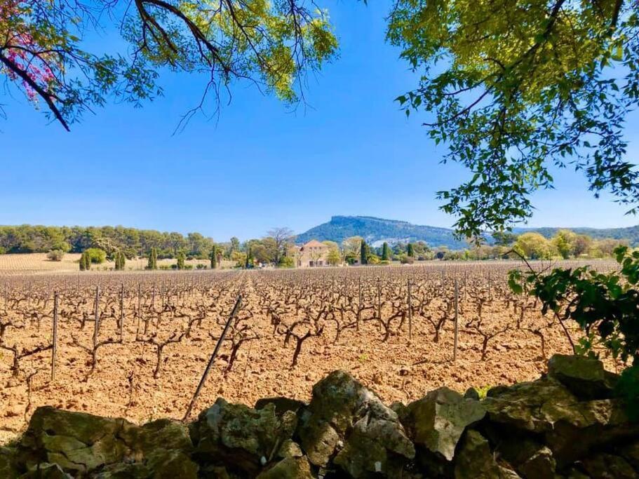 Charmant Studio Au Coeur De Cassis Dış mekan fotoğraf