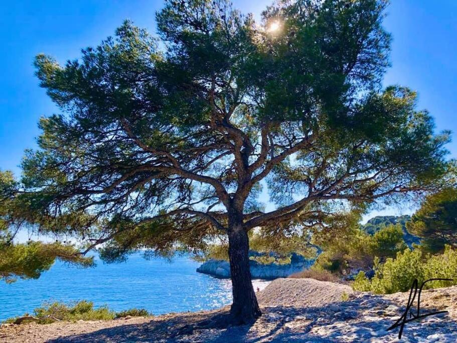 Charmant Studio Au Coeur De Cassis Dış mekan fotoğraf
