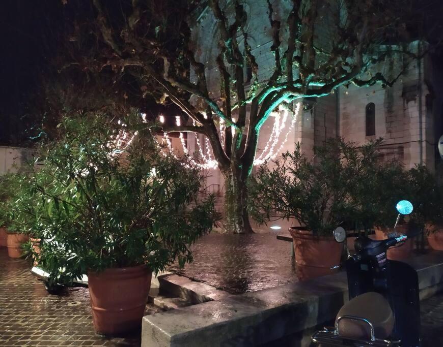 Charmant Studio Au Coeur De Cassis Dış mekan fotoğraf