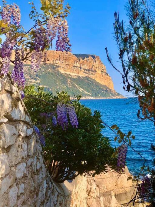 Charmant Studio Au Coeur De Cassis Dış mekan fotoğraf
